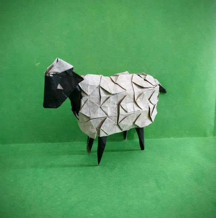 Sheep 