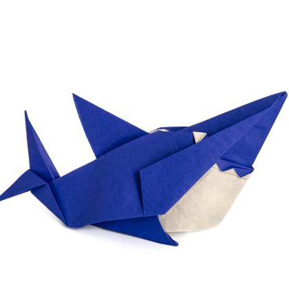 Shark