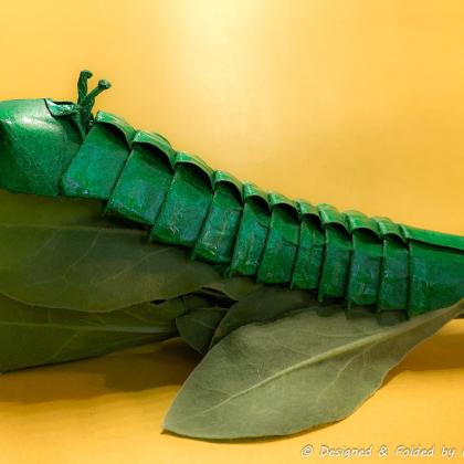 Caterpillar