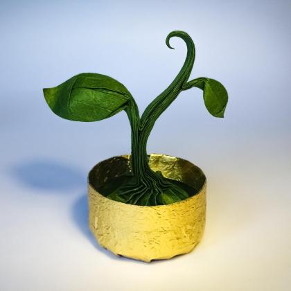 Origami Sprout