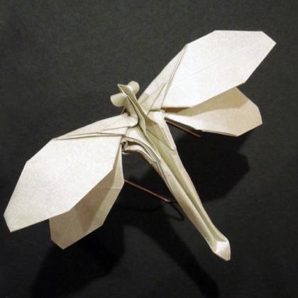 Dragonfly