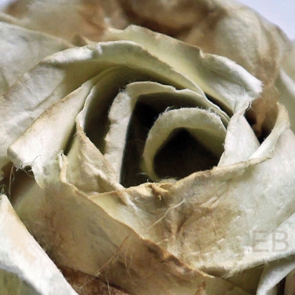Origami Rose by Evi Binzinger