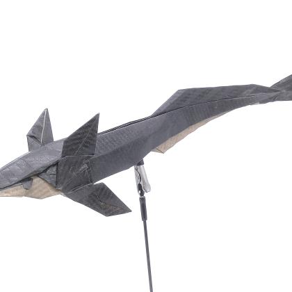 Remora