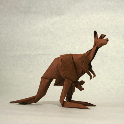 Kangaroo 2013