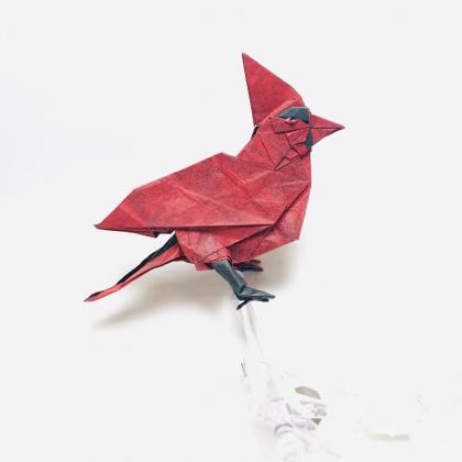 Northern cardinal