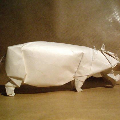 Hippo