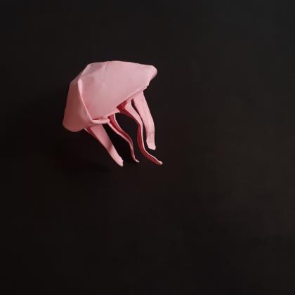 Jellyfish 