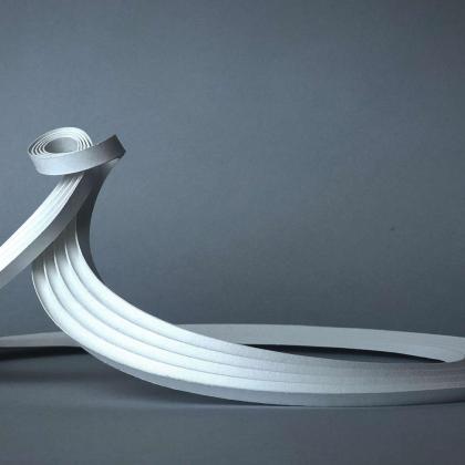 Swan