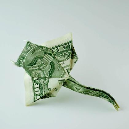 Image by Olya Gugnyak