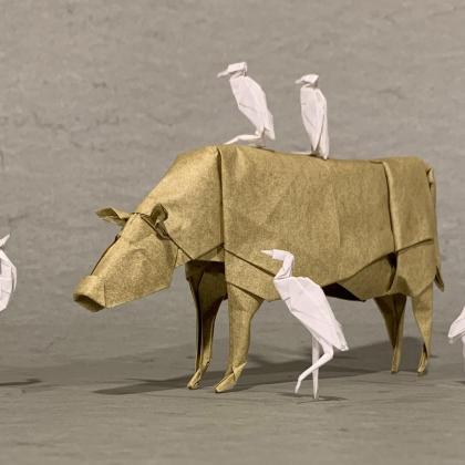 Cow and Egrets