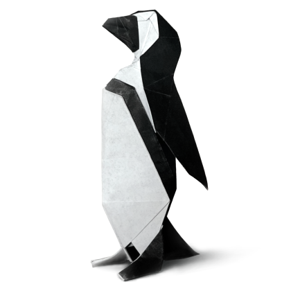 African Penguin