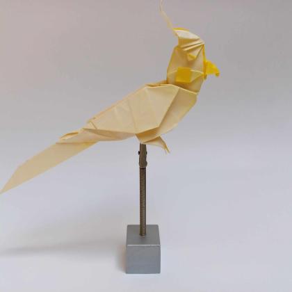 Cockatiel