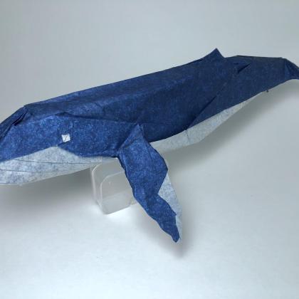 Whale