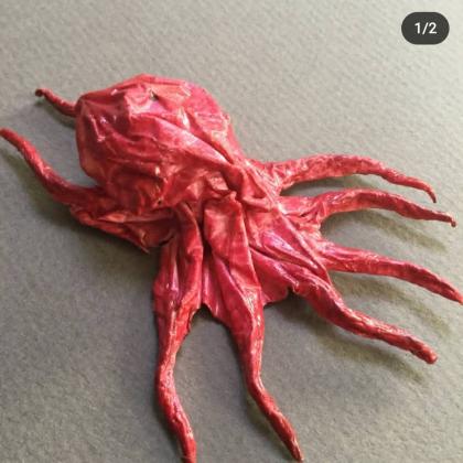 octopus