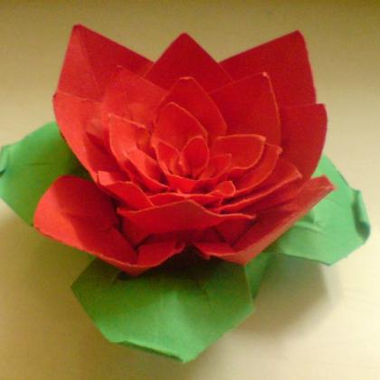 Modular Lotus