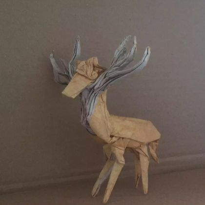 Reindeer