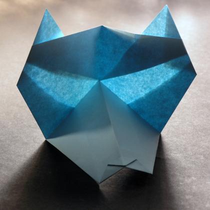 Wolf (action model)