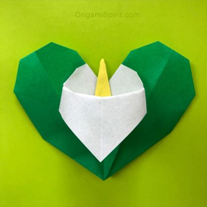 Calla Lily Love
