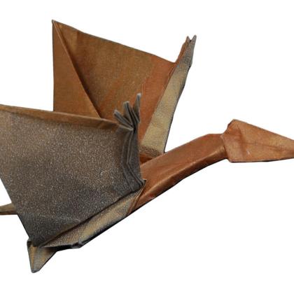 Pterosaurus, 2006