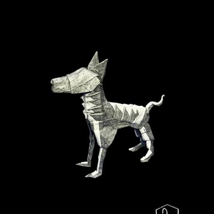 Xoloitzcuintle 