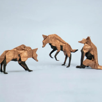 Maned wolf