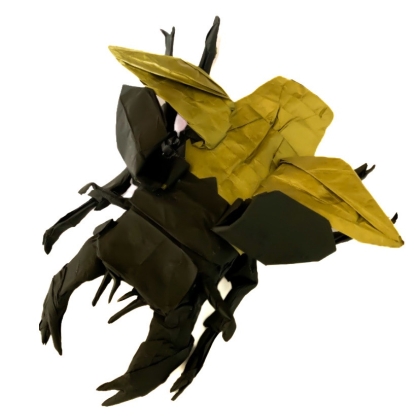 Flying Stag Beetle