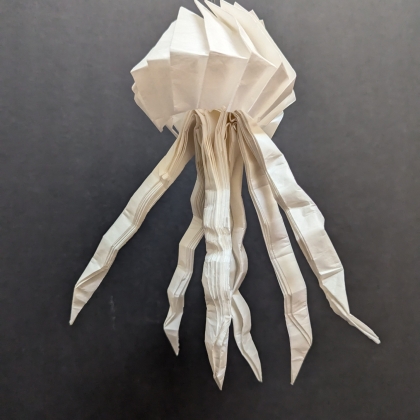 Jellyfish