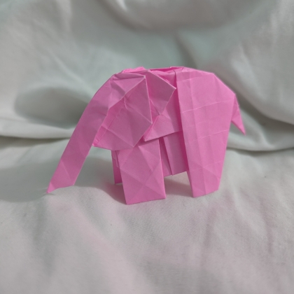 Baby elephant