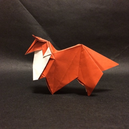 Collie