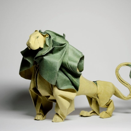 Lion 2012