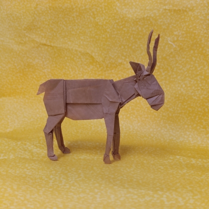 Saiga Antelope
