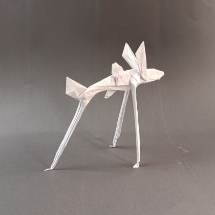 Tripod Fish