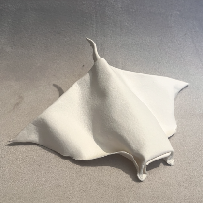 Ray