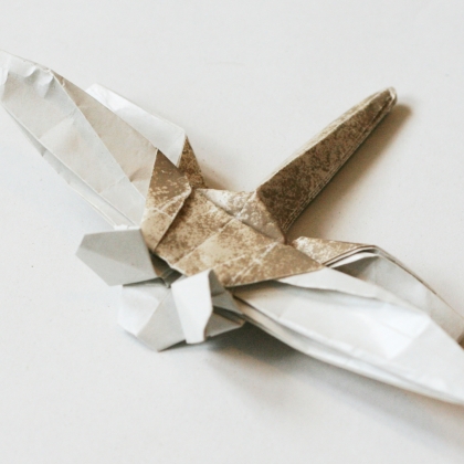 Dragonfly 1