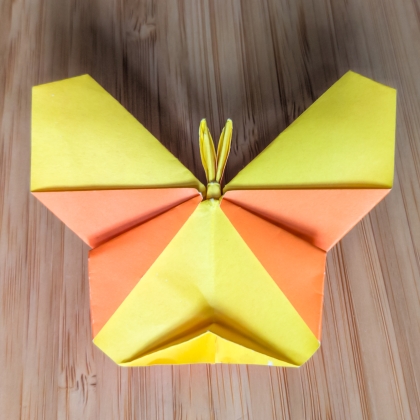 Butterfly 3