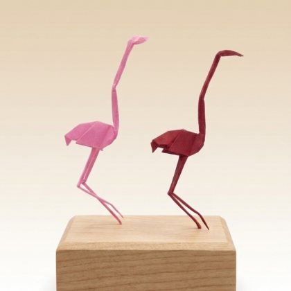 Flamingos