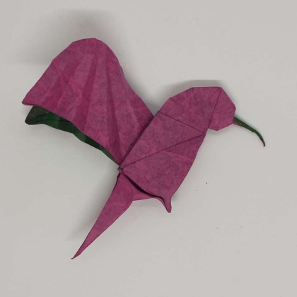 Hummingbird