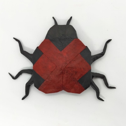 Ladybird