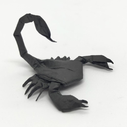 Scorpion