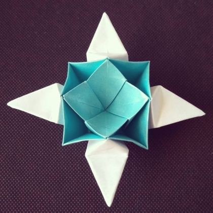 Shiruken flower