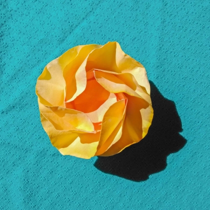 Quatreflower